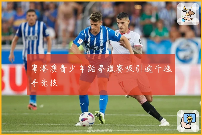 粤港澳青少年跆拳道赛吸引逾千选手竞技